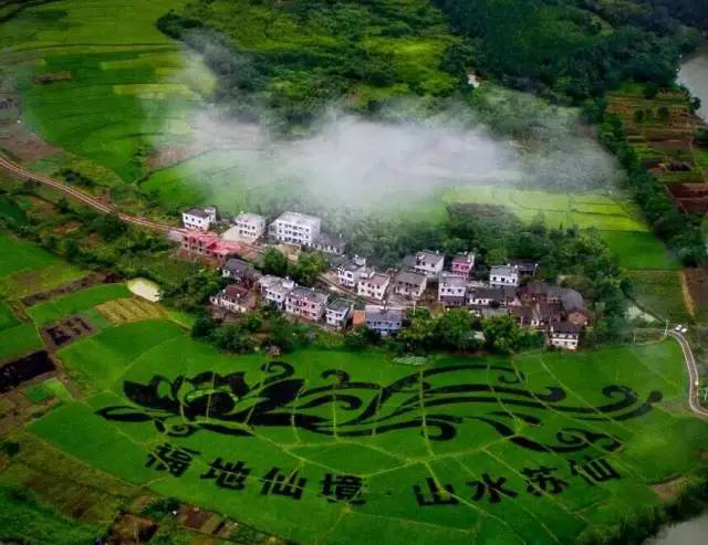 郴州蓮山莊園,郴州生態(tài)山莊,郴州原生態(tài)休閑農業(yè)莊園,郴州鄉(xiāng)村旅游